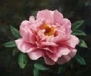 unknow artist Realistic Pink Rose oil painting